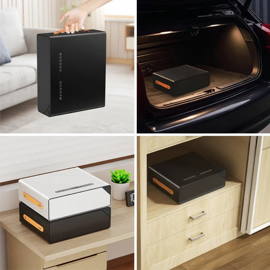 Biometric Fingerprint Portable Safe & Jewelry Box with Password & Remote Access