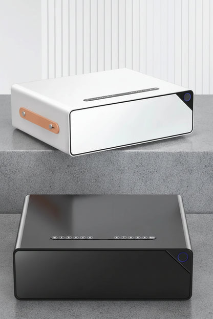 Biometric Fingerprint Portable Safe & Jewelry Box with Password & Remote Access